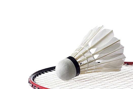 至向世界强 至向世界强