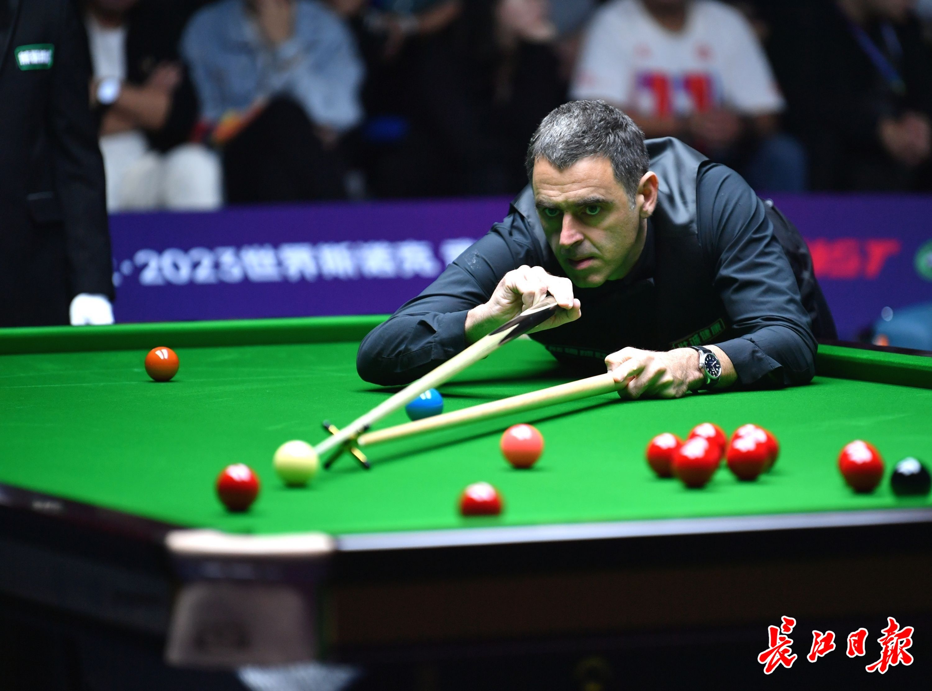 在这一背景 在这一背景